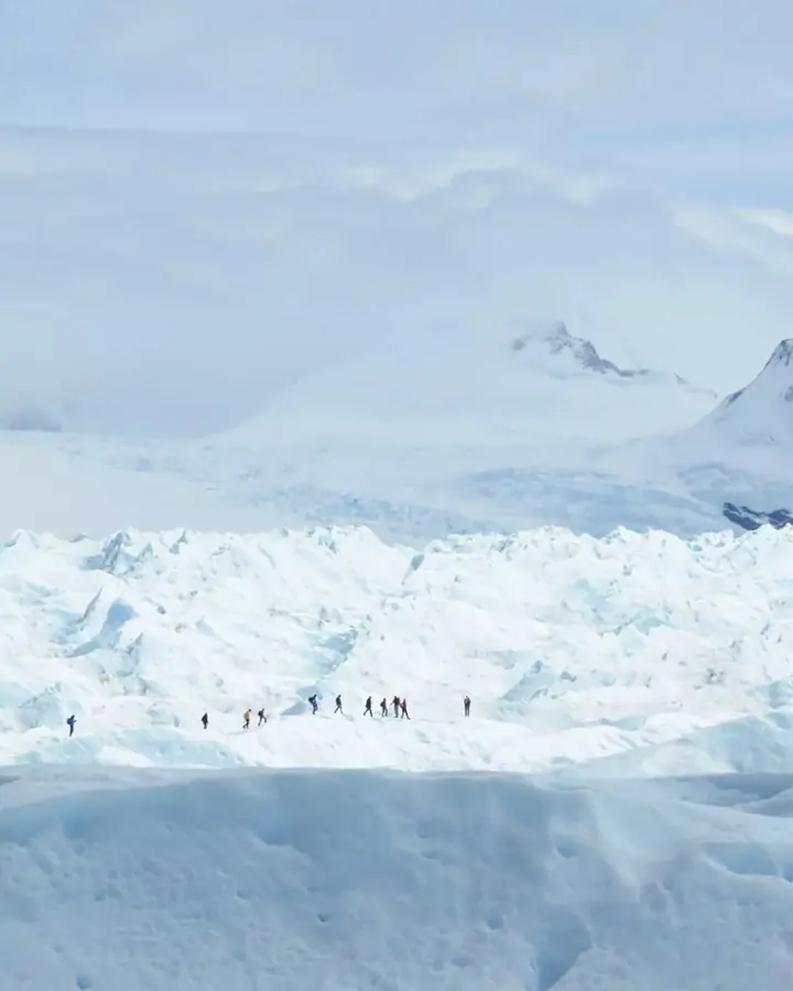 Article cover: a line of trekkers crossing the ice of the Perito Moreno Glacier