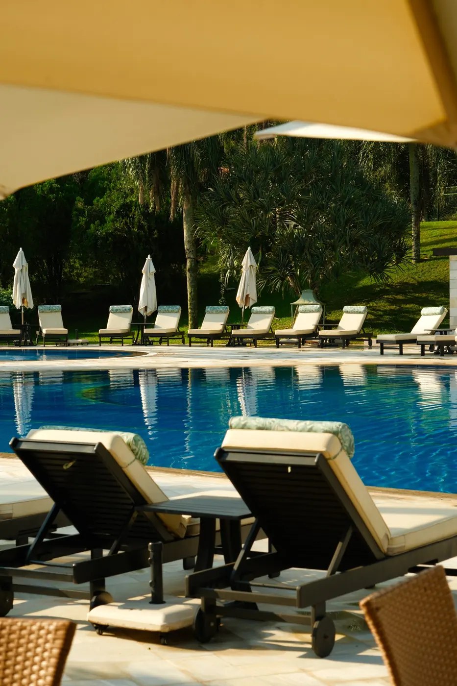 Loungers along the hotel pool with palms and closed white umbrellas