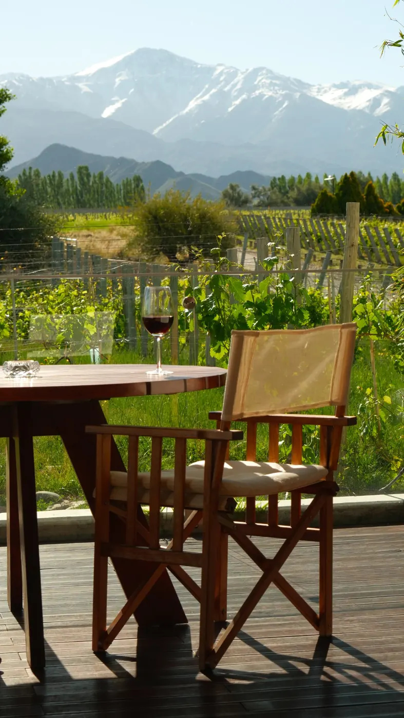 A wooden terrace above vineyards with the snow-capped Andes behind